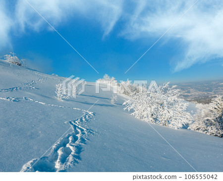 Winter mountain snowy landscape 106555042