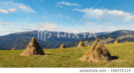 Haystacks on beautiful autumn plateau in Carpathian  mountain, Ukraine. 106555124