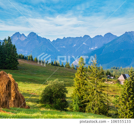 Summer mountain country view 106555133