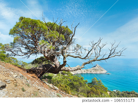Coastline of Novyj Svit summer view (Crimea, Ukraine) Coastline of Novyj Svit summer view (Crimea, Ukraine) 106555173