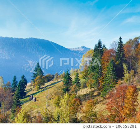 Sunny autumn mountain forest on mountainside (Carpathian, Ukraine) Sunny autumn mountain forest on mountainside (Carpathian, Ukraine) 106555291