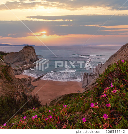 Spring sunset sea rocky coast landscape with small sandy beach  and pink flowers in front (Arnia Beach, Spain, Atlantic Ocean). 106555342