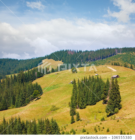 Summer mountain hamlet landscape 106555380