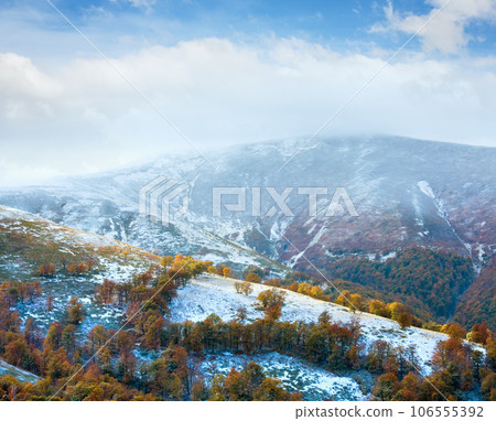 October Carpathian mountain plateau with first winter snow and autumn colourful foliage. Ukraine. 106555392