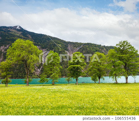 Achensee summer landscape (Austria). 106555436
