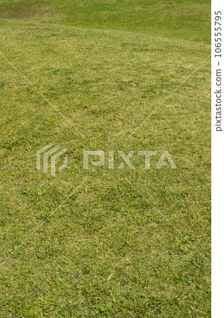 草坪圖形材料草坪廣場 106555795