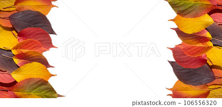 Frame with colorful fall leaves isolated on a white background. Top Frame with colorful fall leaves isolated on a white background. Top 106556320