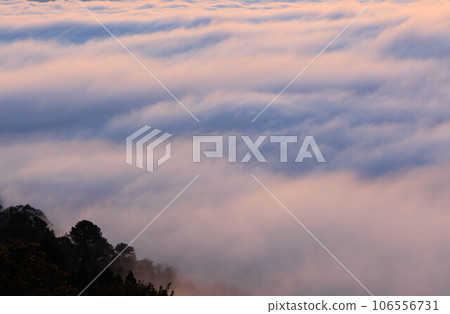 Sea of clouds seen from Mt. Onade ”Sayo Town, Hyogo Prefecture” Sea of clouds seen from Mt. Onade ”Sayo Town, Hyogo Prefecture” 106556731