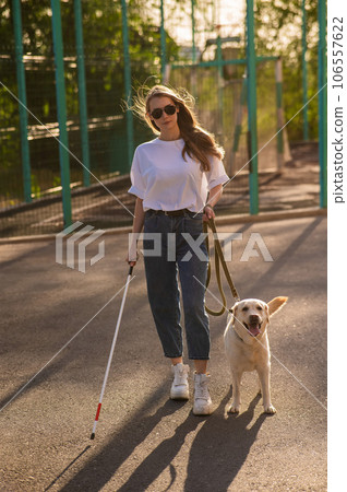 Blind woman walking with guide dog.  106557622