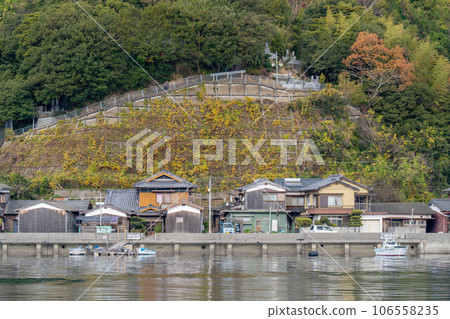 Miura Peninsula fishing port Miura Peninsula fishing port 106558235