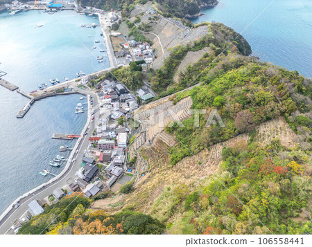 Stage field of Yuuko Water loadpour Stage field of Yuuko Water loadpour 106558441