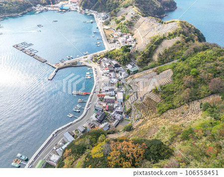 Stage field of Yuuko Water loadpour Stage field of Yuuko Water loadpour 106558451