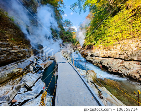秋天的上帝在秋天 秋天的上帝在秋天 106558714