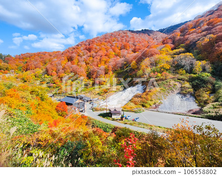 Doroyu Onsen (Autumn) Doroyu Onsen (Autumn) 106558802
