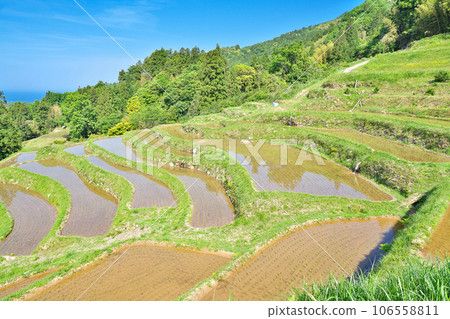 [Rice terraces in Muroya] Muroya, Misumi-cho, Hamada City, Shimane Prefecture 106558811