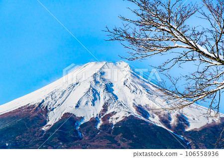 山梨縣忍野村雪景 106558936