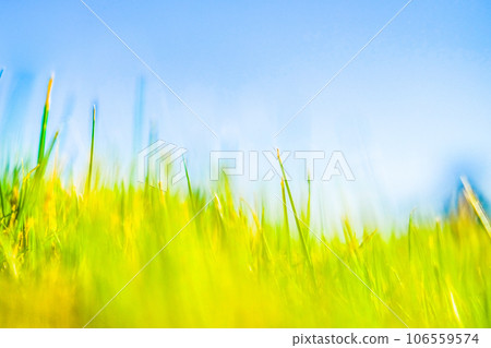 藍天和綠草的圖像 藍天和綠草的圖像 106559574