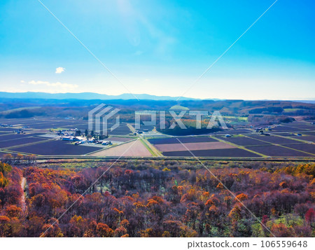 Scenery with flowers 106559648