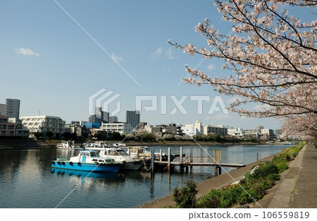 勝島運河開滿鮮花 106559819