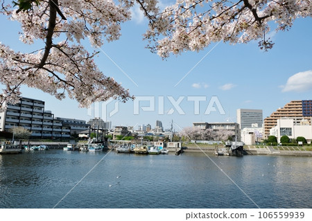勝島運河開滿鮮花 106559939