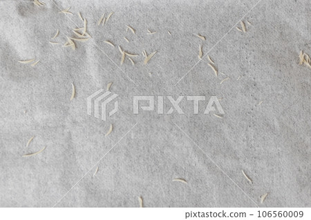 Nails scattered on tissue after being cut with nail clippers Nails scattered on tissue after being cut with nail clippers 106560009