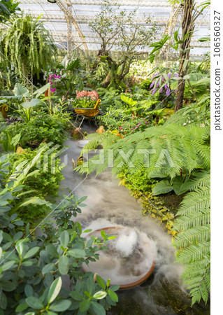 Beautiful tropical garden in farm with orchid. 106560327