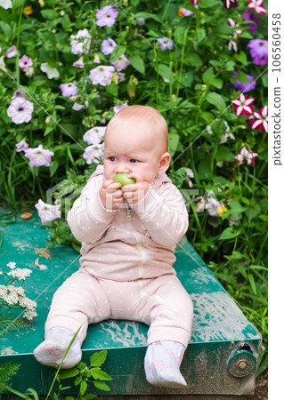 happy child girl holding tomatoes on background of green plants 106560458