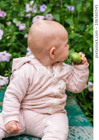 happy child girl holding tomatoes on background of green plants happy child girl holding tomatoes on background of green plants 106560545