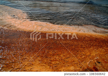 Flora of hyperthermophiles growing around hot springs in Yellowstone National Park, United States Flora of hyperthermophiles growing around hot springs in Yellowstone National Park, United States 106560642