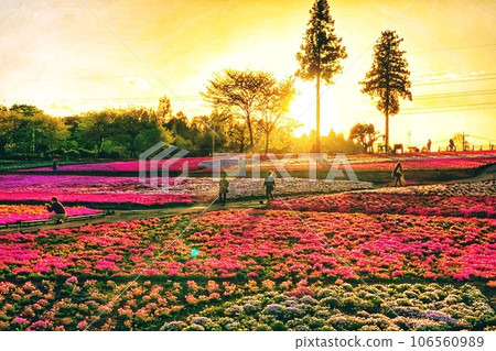 Flowers dyed in the sunset 106560989