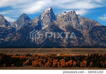 United States Autumn Grand Teton National Park Teton Mountains Meadow grass foliage 106561282