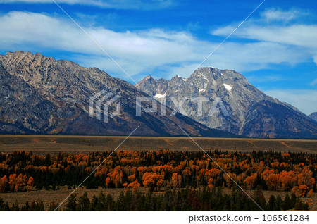 United States Autumn Grand Teton National Park Teton Mountains Meadow grass foliage 106561284
