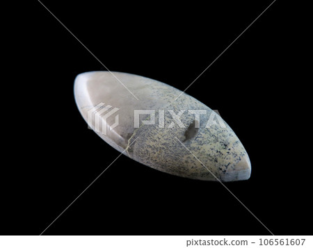 樹枝狀碧玉自然繪畫 樹枝狀碧玉自然繪畫 106561607