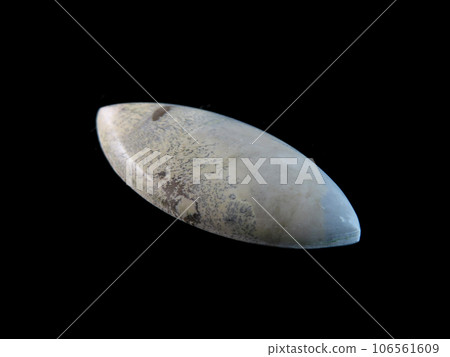 樹枝狀碧玉自然繪畫 106561609