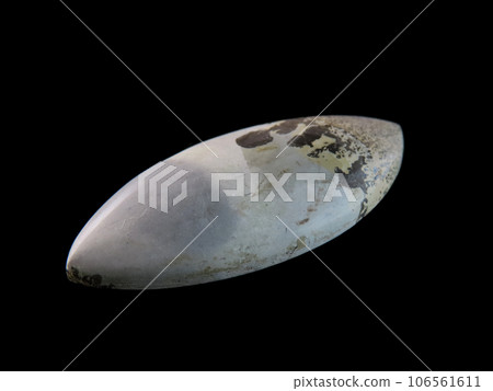 樹枝狀碧玉自然繪畫 106561611