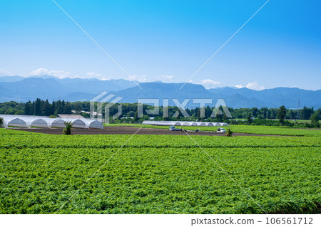 魔芋田、谷川山脈、三峰山、昭和村赤城高原的景色 106561712