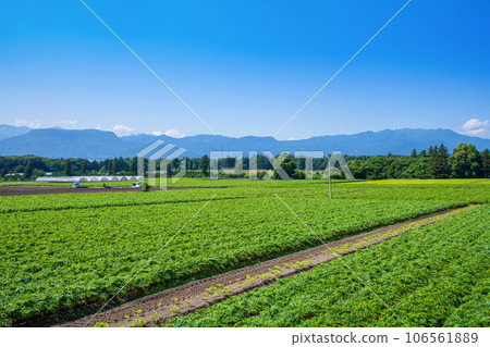 魔芋田、谷川山脈、三峰山、穗高山、赤城高原、昭和村 106561889