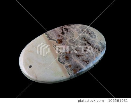 Dendritic Jasper Nature's Painting Dendritic Jasper Nature's Painting 106561981