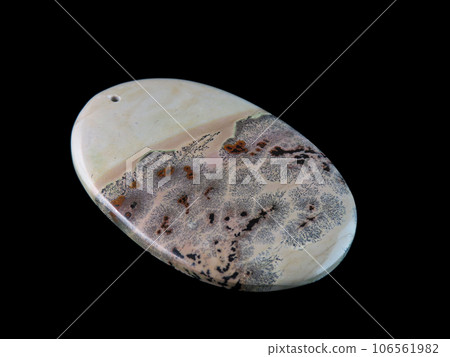 Dendritic Jasper Nature's Painting Dendritic Jasper Nature's Painting 106561982