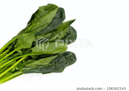 Fresh spinach on white background Fresh spinach on white background 106562543