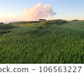 Sunset 106563227