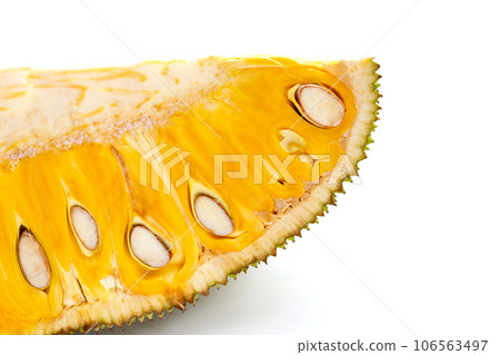 Ripe Jackfruit isolated on white background. Ripe Jackfruit isolated on white background. 106563497