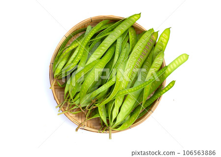 Leucaena leucocephala fruit on white background Leucaena leucocephala fruit on white background 106563886