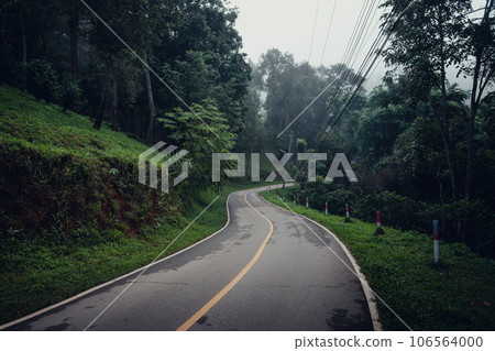 road and trees in the morning road and trees in the morning 106564000