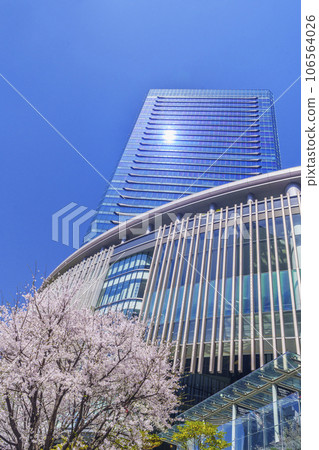 Grand Front Osaka和盛開的櫻花在藍天的映襯下熠熠生輝 Grand Front Osaka和盛開的櫻花在藍天的映襯下熠熠生輝 106564026