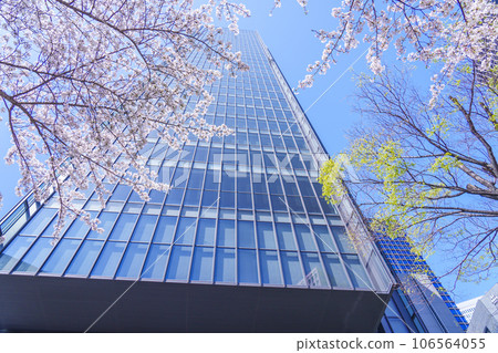 櫻花盛開的梅田 DT Tower 櫻花盛開的梅田 DT Tower 106564055