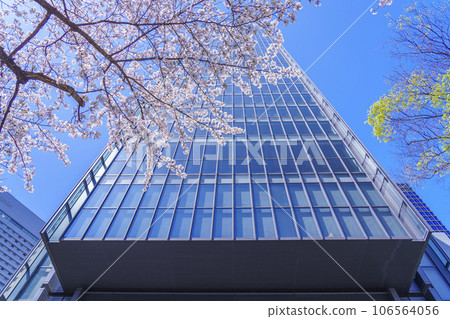 Umeda DT Tower surrounded by cherry blossoms in full bloom 106564056