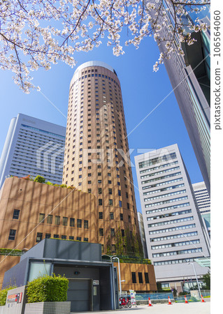 櫻花環繞的大阪丸大廈 櫻花環繞的大阪丸大廈 106564060