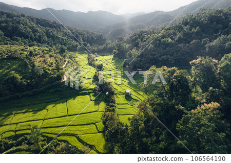 Rice terraces in rural forest with evening light,paddy field 106564190
