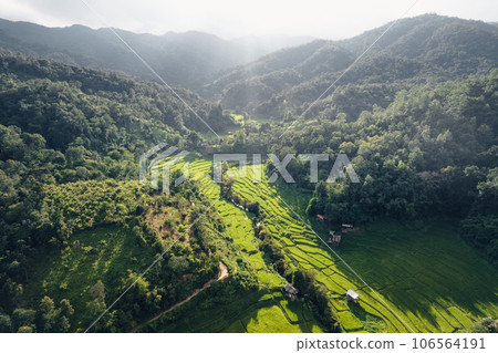 Rice terraces in rural forest with evening light,paddy field Rice terraces in rural forest with evening light,paddy field 106564191